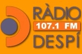 Radio Despi 107.1 FM